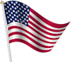 flag100
